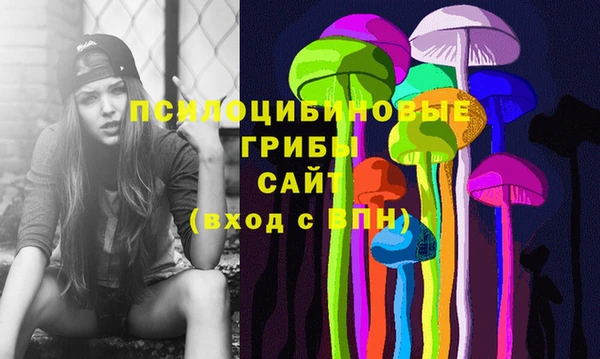 круглые Вяземский