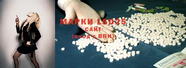 круглые Вяземский