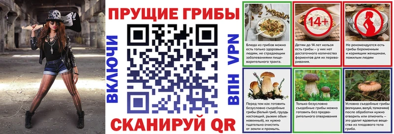 мега ССЫЛКА  Заозёрный  Галлюциногенные грибы мицелий 